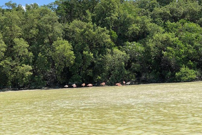 Tour to Celestún - The Itinerary: What to Expect