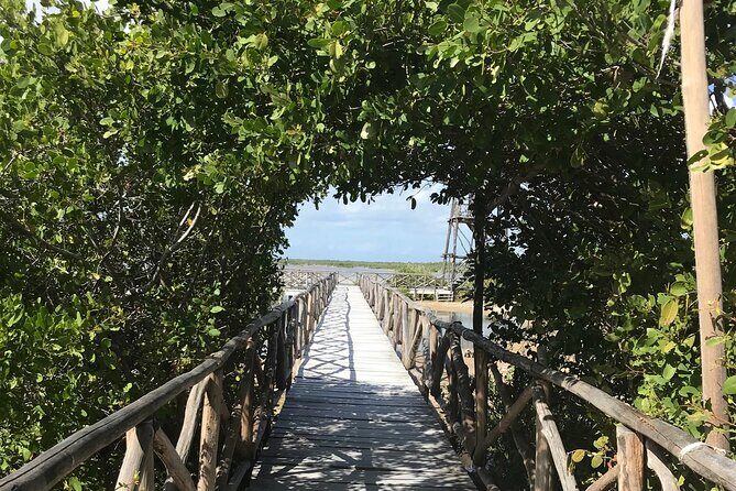 Tour to Cozumel Eco Nature Escape and Otoch Mayan Experience - Authentic Insights from Reviewers