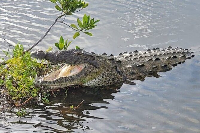 Tour to Cozumel Eco Nature Escape and Otoch Mayan Experience - Who Will Love This Tour?