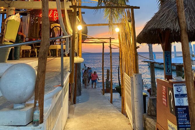 Tour to Cozumel El Cielo by Boat and Beach Club From Playa Del Carmen - Underwater Experience