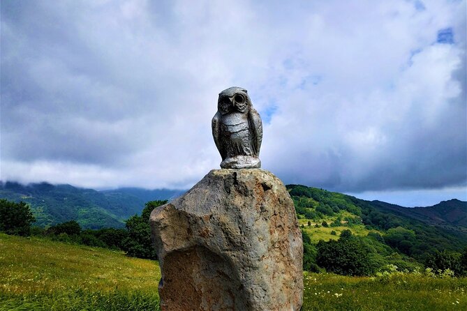 Tour to Didgori Valley From Tbilisi (Turtle Lake, Ethnographic Museum, Kojori) - Lunch Details