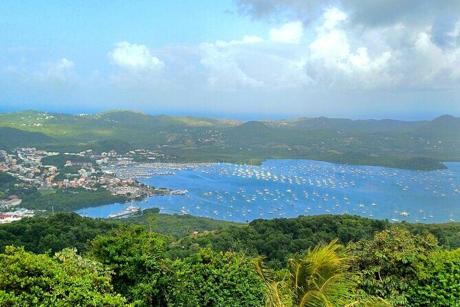 Tour to discover the paradisiacal beaches of the South (Salines) - Who Is This Tour Best For?