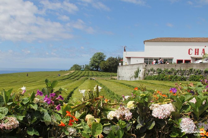 Tour to Furnas and Terra Nostra Garden - Full Day - Minimum Travelers and Refunds