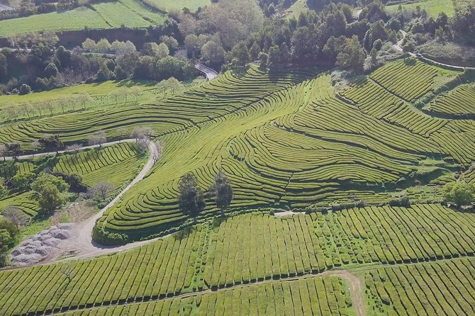 Tour to Furnas and Terra Nostra Garden - Full Day - Reviews