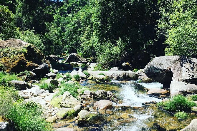 Tour to Gerês in 4x4 Full Day With Option of SUP Tour - Tour Highlights