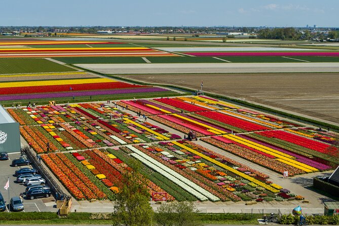 Tour to Giethoorn and Keukenhof Tulip Fields From Amsterdam - Cancellation Policy and Refund Details
