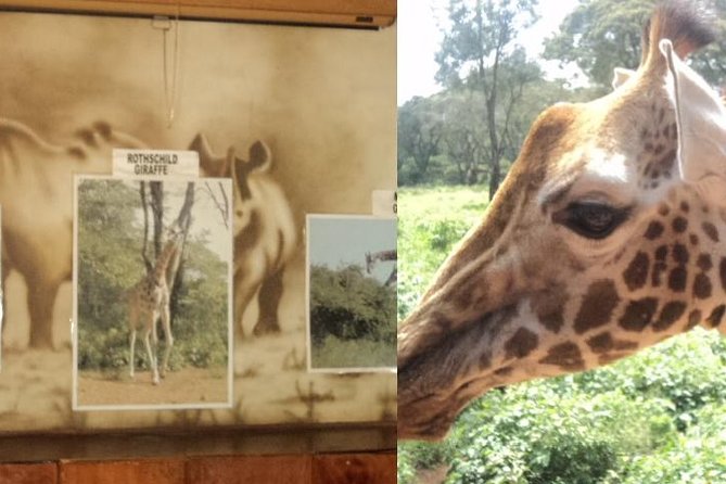 Tour to Giraffe Center From Nairobi - Directions