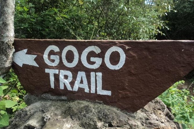 Tour to Giraffe Center From Nairobi - Tips for Visitors