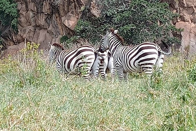 Tour to Hells Gate National Park & L Naivasha-Without Park Fees - Important Details