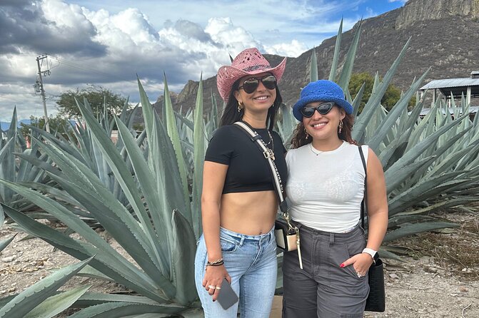 Tour to Hierve El Agua and Mezcal Distillery (Small Groups) - Mezcal Distillery: A Taste of Local Culture