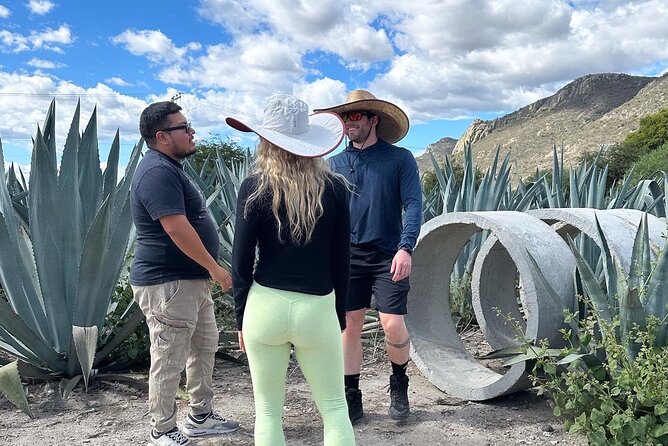 Tour to Hierve El Agua and Mezcal Distillery (Small Groups) - Booking Information