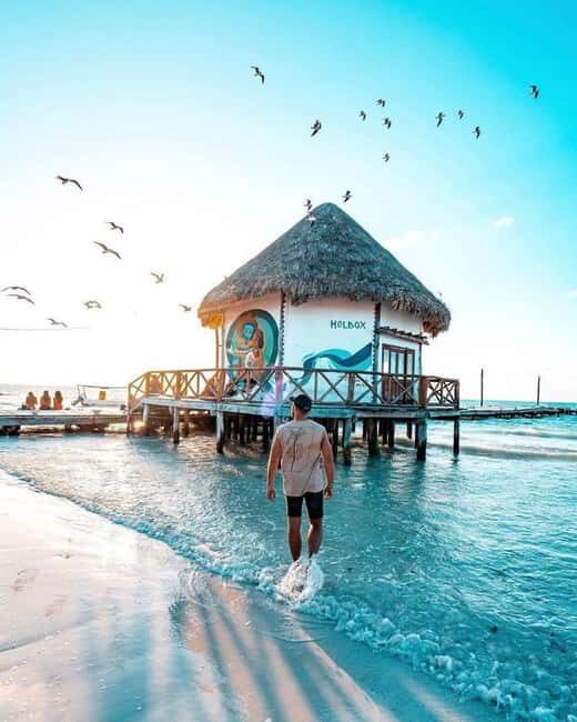 Tour to Holbox with food and transportation from Cancun, Playa del Carmen, and Tulum - Final Thoughts
