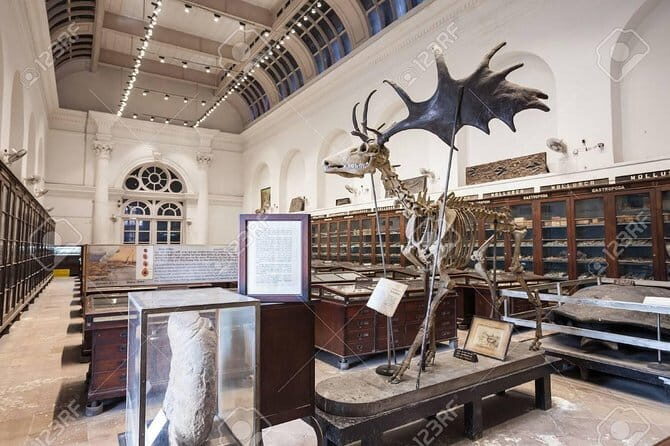 Tour to Indian Museum Kolkata - An In-Depth Look at the Indian Museum Tour