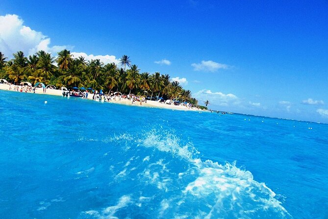 Tour To Johnny Cay Haynes Cay Aquarium And Mnaglares - Coral Tax Information