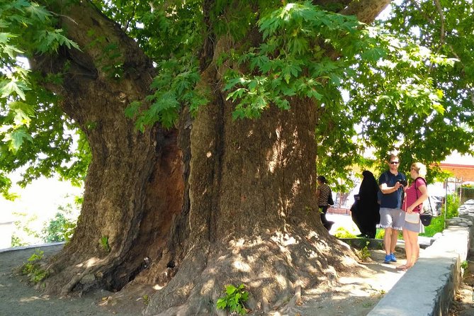 Tour to Kakheti. Sighnaghi –Bodbe Monastery –Tsinandali –Telavi –Winery –Gombori - Frequently Asked Questions