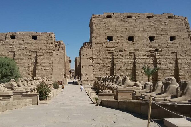 Tour to Karnak and Luxor Temples - Tour Overview Highlights