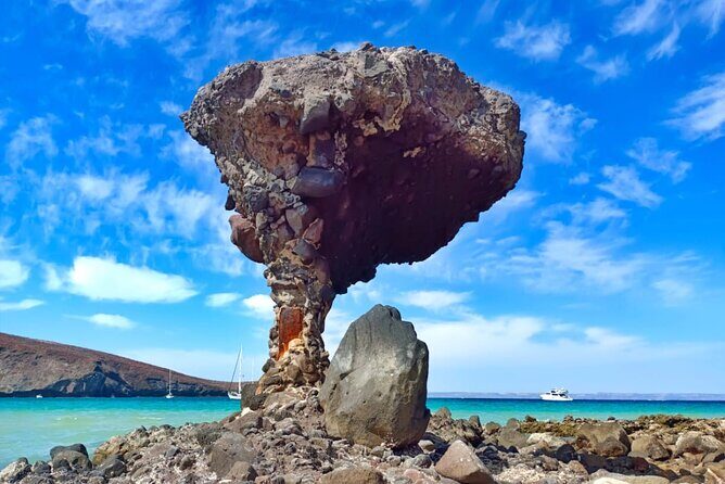 Tour to La Paz Playa Balandra Malecón and Todos Santos - Good To Know