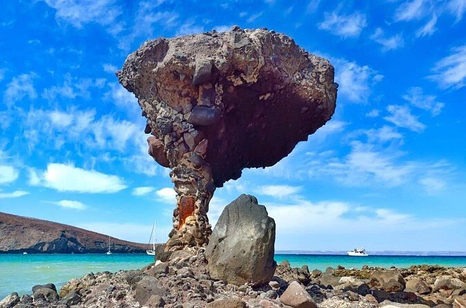 Tour to La Paz Playa Balandra Malecón and Todos Santos - The Sum Up: Who’s This Tour Best For?