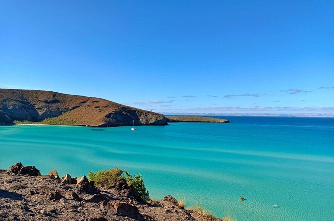 Tour to La Paz Playa Balandra Malecón and Todos Santos - FAQ