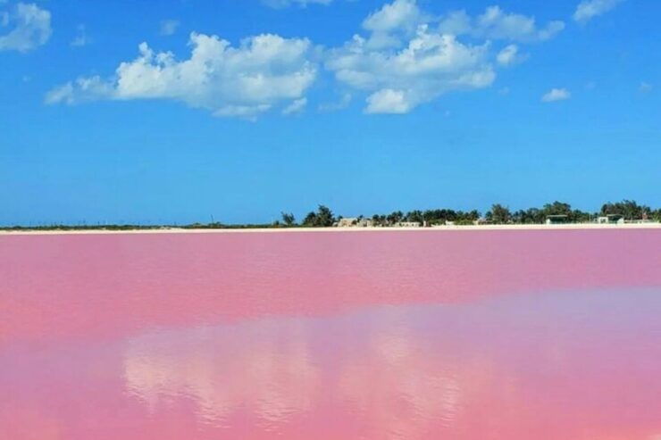 Tour to Las Coloradas and Rio Lagartos From Merida - Activity Details