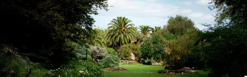 Tour to Las Palmas De Gran Canaria: History and Culture - Good To Know