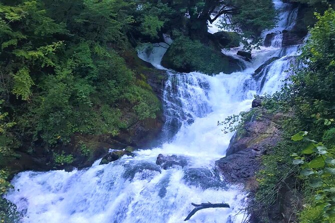 Tour to Lechkhumi From Tbilisi (Ghvirishi, Lailashi, Kulbaki, Rachkha, Usakhelouri) - Transportation and Amenities