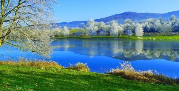 Tour to Lotus Lake/Boat Tour/Lotus Flowers/Birds - Booking and Cancellation Policies
