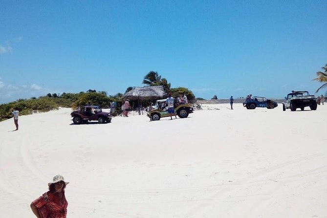 Tour to Mangue Seco, Departing From Salvador-Bahia - Tour Overview