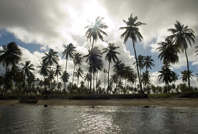 Tour to Mangue Seco, Departing From Salvador-Bahia - Itinerary Highlights
