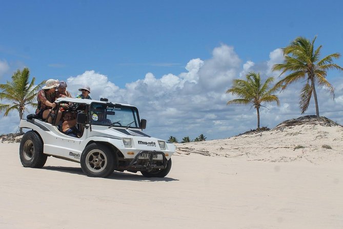 Tour to Mangue Seco With Boat Ride - Tour Highlights