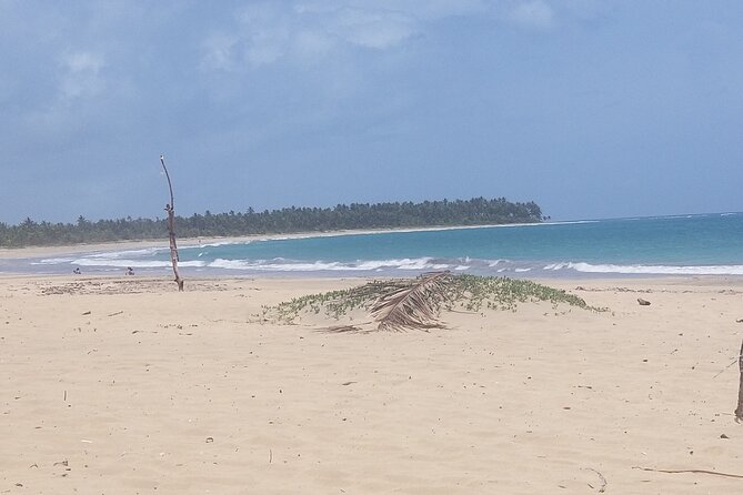 Tour to Montana Redonda (Round Montain) & Costa Esmeralda Beach - Reviews