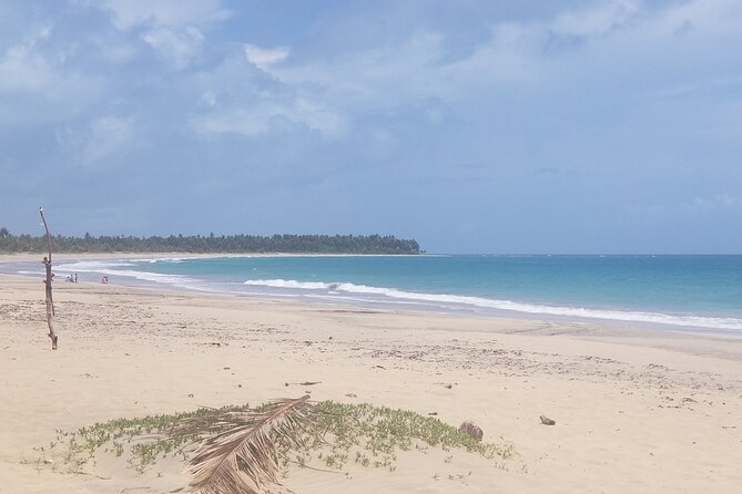 Tour to Montana Redonda (Round Montain) & Costa Esmeralda Beach - Inclusions and Additional Information