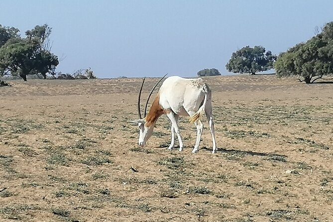 Tour to National Park in the South of Agadir - Good To Know