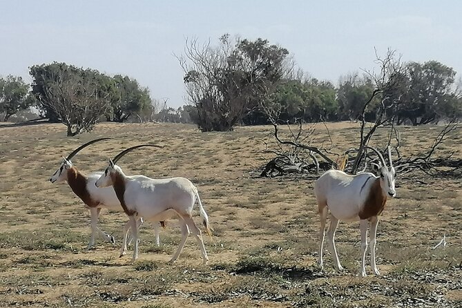 Tour to National Park in the South of Agadir - Booking Information