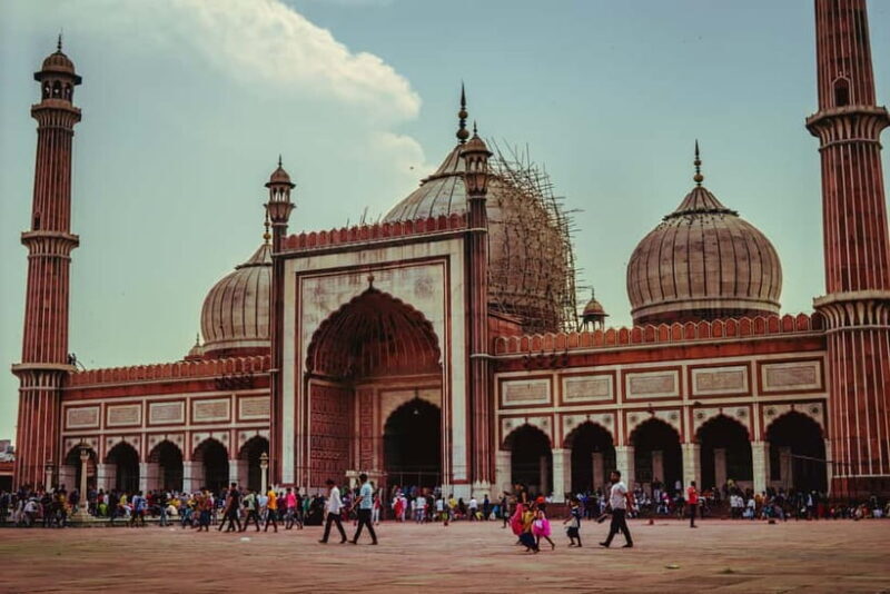 Tour to old delhi with guide and transfer - What to Expect from This Tour of Old Delhi
