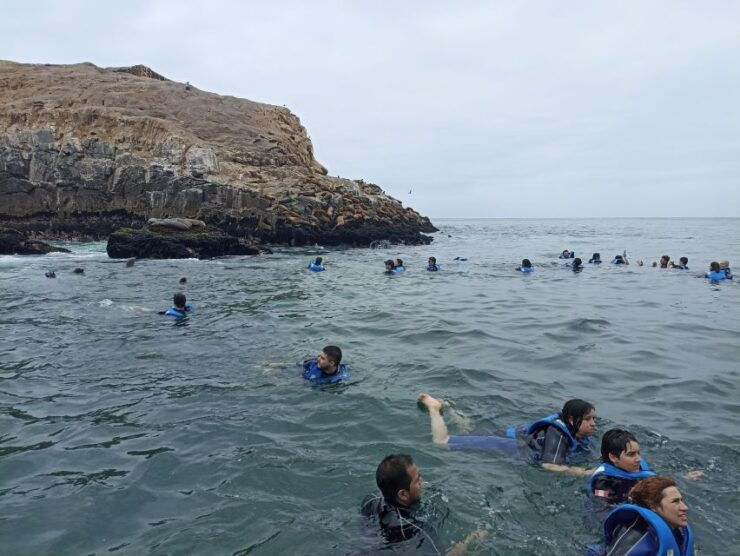 Tour to Palomino Islands - Tour Highlights