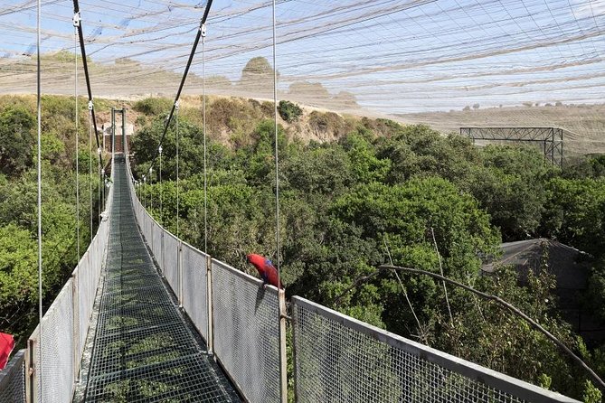 Tour to Parque Tricao + Aviario and Pomaire Full Day From Santiago - Meeting and Pickup Details