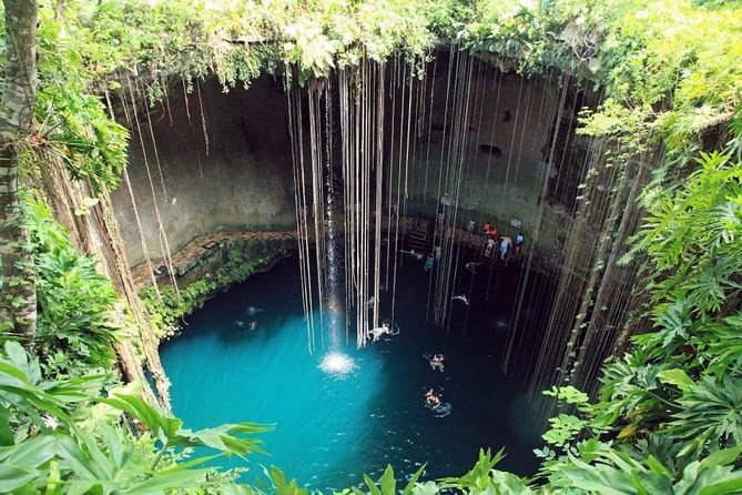Tour to Pink Lake and Rio Lagartos From Cancun - Background