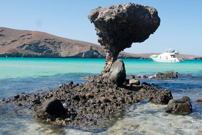 Tour to Playa La Paz from Cabo San Lucas - Good To Know