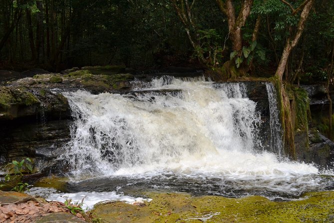 Tour to Presidente Figueiredo: Amazon Waterfalls - Tour Highlights