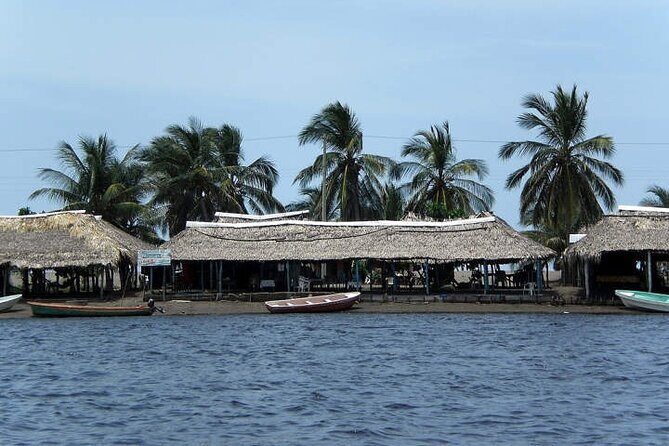 Tour to Puerto Arista and Boca del Cielo from San Cristobal - An In-Depth Look at the Tour Experience