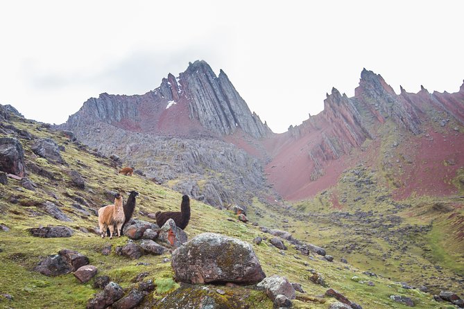 Tour to Rainbow Mountains of Perú; 1 Full Day - The Sum Up