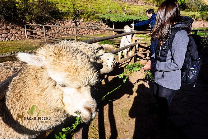 Tour to Sacred Valley: Tour Pisaq, Ollantaytambo, and Chinchero. - Pickup Details