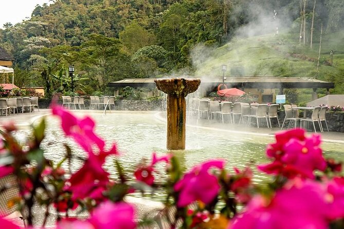 Tour to Santa Rosa De Cabal Coffee Farm and Hot Springs - Tour Highlights