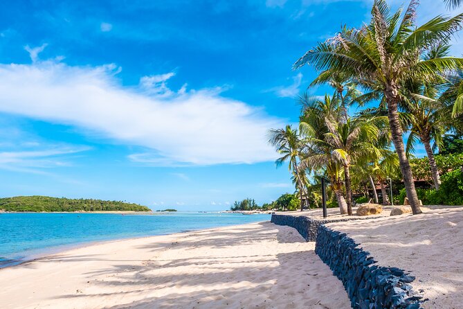 Tour to Saona and Altos De Chavón - Itinerary Details