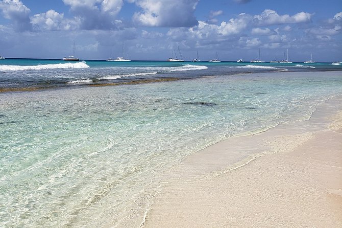 Tour to Saona Island - Traveler Photos