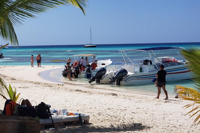 Tour to Saona Island - Common Questions