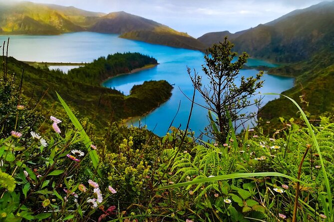 Tour to Sete Cidades, Lagoa Do Fogo and Furnas - Positive Aspects of the Tour