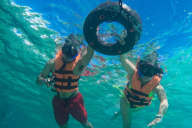 Tour to Swim With Turtles - Safety Tips for Swimming With Turtles