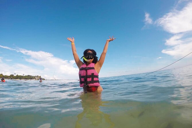 Tour to Swim With Turtles - Choosing the Right Turtle Tour Guide
